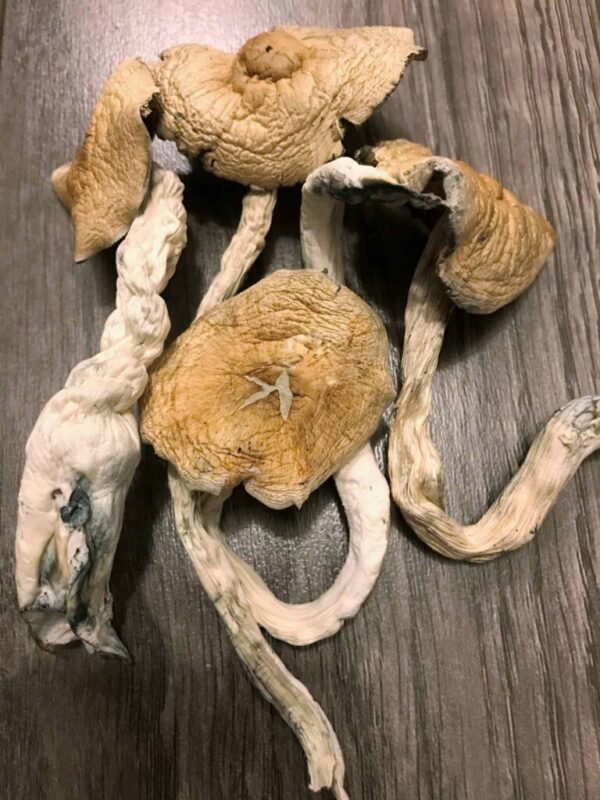 Psychedelics for Depression Mental Health and Anxiety in the UK