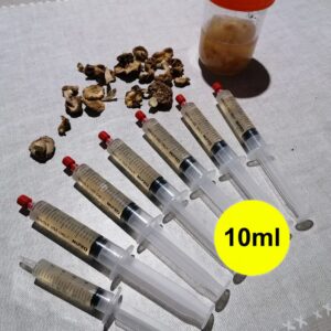 Buy Golden Teacher Psilocybe Liquid Culture (10ml) – 6 Pack Online UK