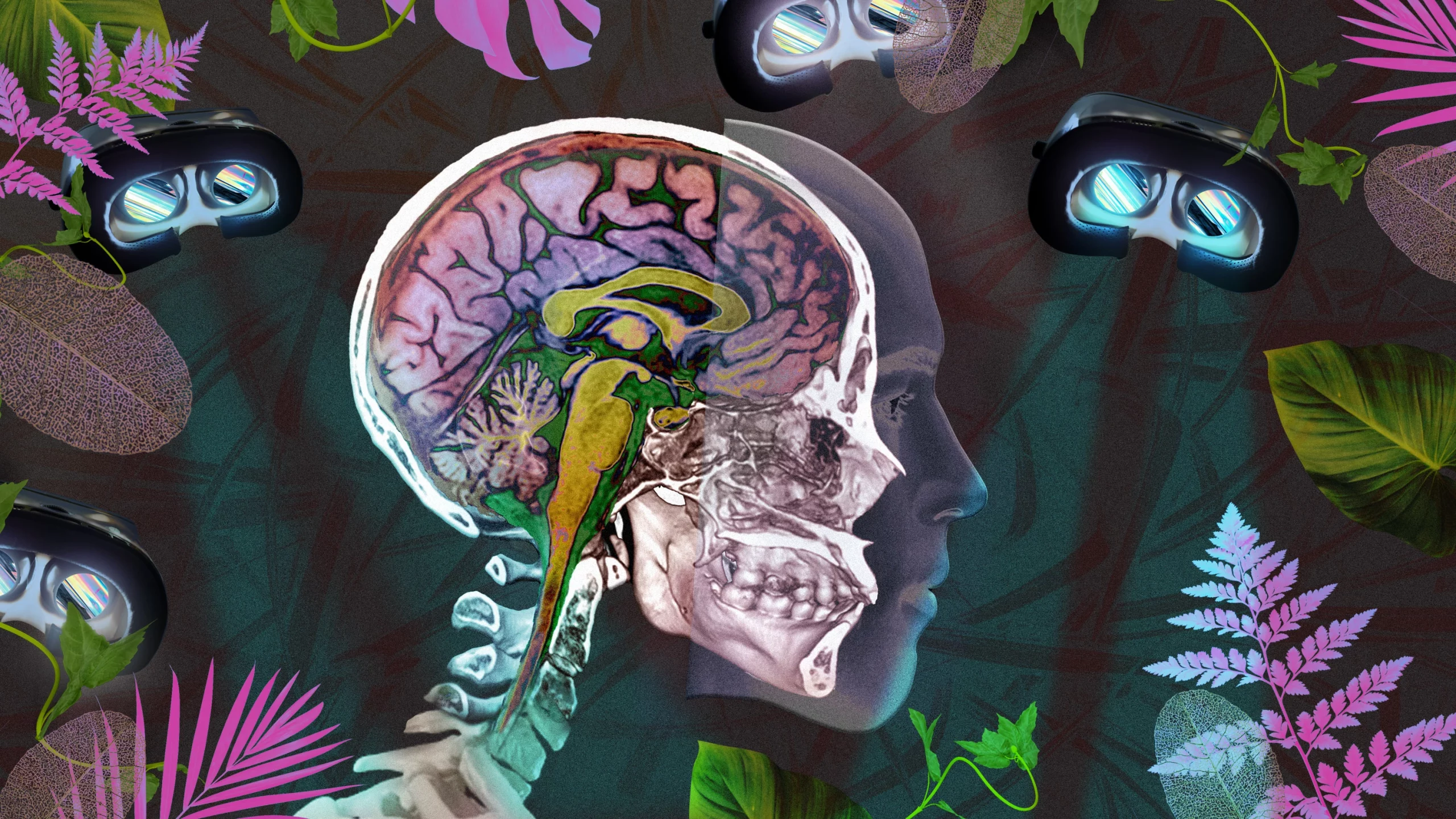 Magic Mushroom Effects: A Comprehensive Guide